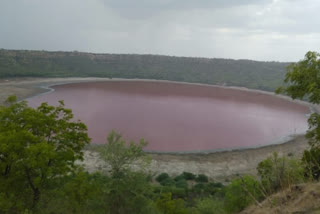 Lonar Sarovar turned reddish pink