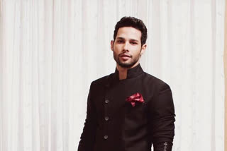 siddhant chaturvedi, ETVbharat