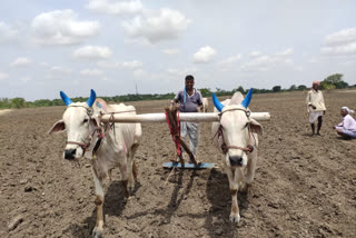 ಬಿತ್ತನೆಗೆ ಅನ್ನದಾತನ ಭರದ ಸಿದ್ಧತೆ