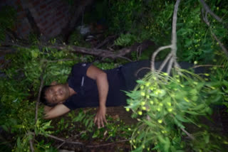 A tree fell on a house in Jaitapur village due to storm in delhi