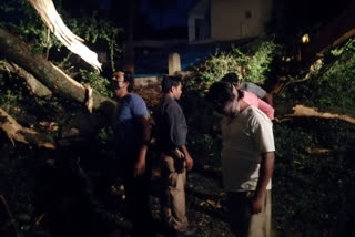 Heavy rain in Mount Abu, सिरोही न्यूज, माउंट आबू का मौसम