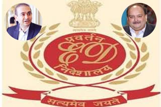 ED brings back Rs 1,350-cr worth polished diamonds, pearls of Nirav Modi, Choksi firms from HK