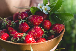 Strawberry File Photo