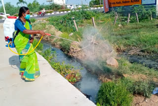 sanitation works conducted at kottagundlapally