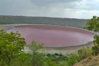 lonar lake water color turns to pink