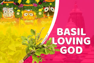 Why is Lord Jagannath called 'Basil Loving God'?