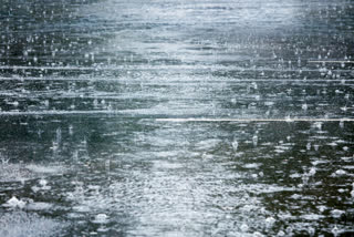 rain in venkatagiri in nellore district