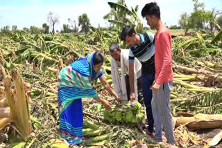 pre-monsoon-rain-at-raver-taluka-in-jalgaon