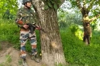 One Indian Army jawan killed in ceasefire violation
