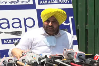 chandigarh, aap, bhagwant mann, AAP to stage statewide protests