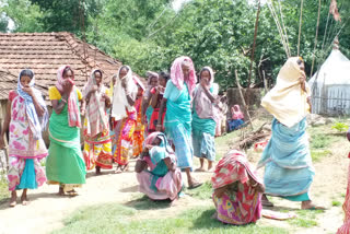 Weeds in entire village after death of three children in Pakur jharkhand