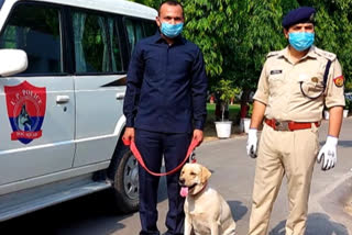 Tracker dog Leena helps Ghaziabad Police solve blind murder case; 3 held