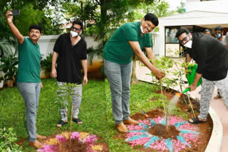 prabhas planted sapling with green india challenge