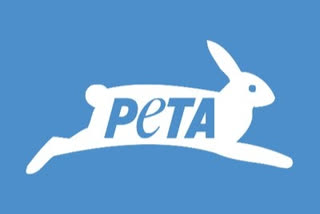 PETA urges Uttar Pradesh government to ban online trade of pets