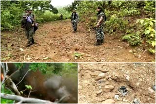 40 ied bomb recovered during search operation of police in chaibasa,  IED bomb recovered from Chaibasa,  News of Naxalites in Chaibasa, चाईबासा से आईईडी बम बरामद,  चाईबासा से 40 आईईडी बम बरामद,  चाईबासा में नक्सल से जुड़ी खबरें