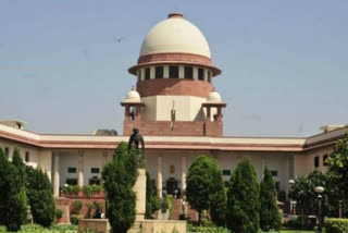 Supreme Court reprimanded the DM of Noida