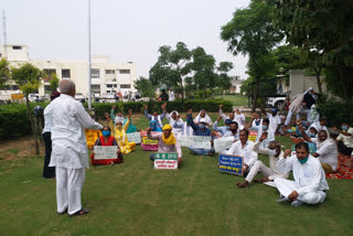 pti teachers protest in sdm office gohana sonipat