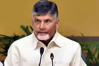 CHANDRA BABU comments on govt