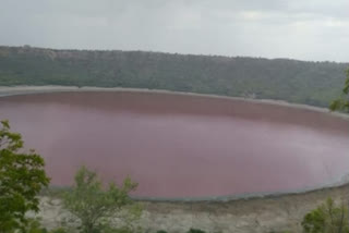 lonar lake pink water