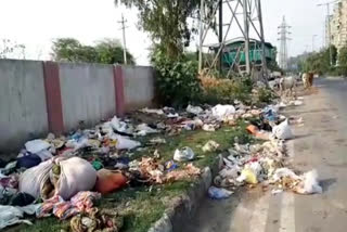 There is a litter on the road of Vikaspuri area in Delhi