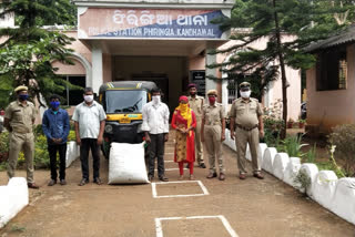 ganja seized in kandhamal district