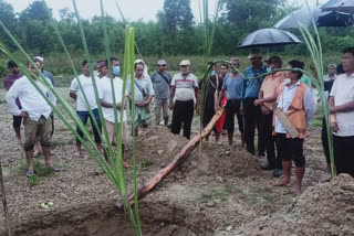 এখন দলঙৰ অভাৱত জীয়াতু ভুগিছে জোনাইবাসী