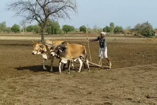 بیج نا ملنے سے کسان پریشان