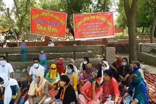 pti teachers protest against government in hisar