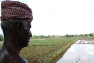 Situation of farmers due to heavy rain and lack of facilities