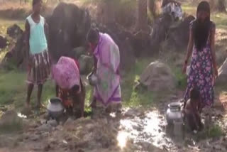 Water scarcity forces Pakhnachua villagers to consume contaminated water