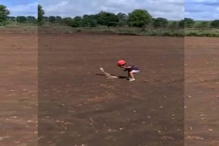 two-year-old-kid-curious-to-touch-the-tail-of-snake-just-missed-by-the-bitten-of-the-cobra