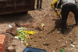 Nahan vegetable vendor