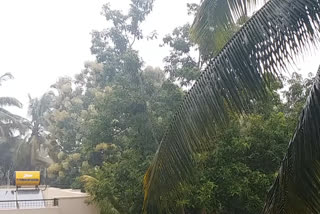 heavy rain in belagavi