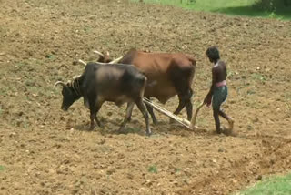first-rain-in-season-of-the-monsoon-farmers-are-gearing-up-for-farming