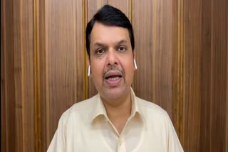 Cyclone 'Nisarga' aftermath: Fadnavis meets CM