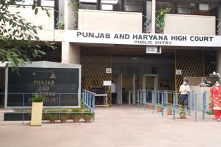 cannot seek bail on pandemic situation says punjab and haryana high court