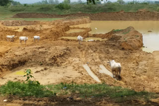 boudh latest news, drinking water problem in boudh, monsoon effect in boudh, ବୌଦ୍ଧ ଲାଟେଷ୍ଟ ନ୍ୟୁଜ୍‌, ବୌଦ୍ଧରେ ପାନୀୟ ଜଳ ସମସ୍ୟା, ବୌଦ୍ଧରେ ମୌସୁମୀ ପ୍ରଭାବ