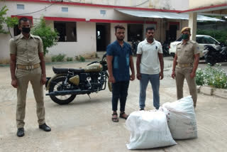 Two suspects were arrested,  29 kg of cannabis seized, Ganjam News, 29 କିଗ୍ରା ଗଞ୍ଜେଇ ଜବତ, ଦୁଇ ଅଭିଯୁକ୍ତ ଗିରଫ, ଗଞ୍ଜାମ ଖବର