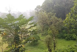 ಕೊಡಗು ಜಿಲ್ಲೆಯಲ್ಲಿ ಗಾಳಿ-ಮಳೆ