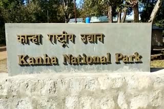 Kanha National Park will open from June 15 in balaghat