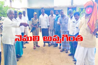 peacock roaming in thirumalagiri suryapeta district