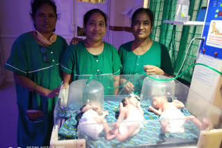 A mother gave birth to three children in the same delivery at the Narayanpet district government hospital