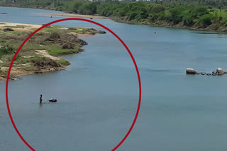 Sand mining in the Krishna River