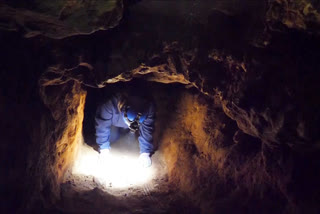 Kneel into Australian caves to know extinct megafauna's secrets