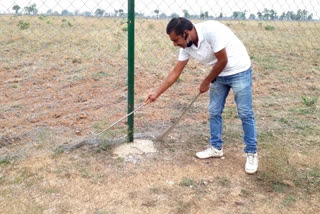 caught-snake-by-catcher-in-bilha