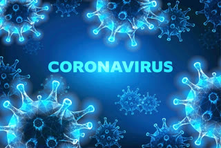 corona virus cases in telanaga at hyderabad
