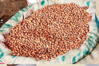 groundnut price fell down and farmers are storing more and more in godowns