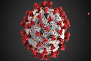 An analysis story on Coronavirus outbreak in India