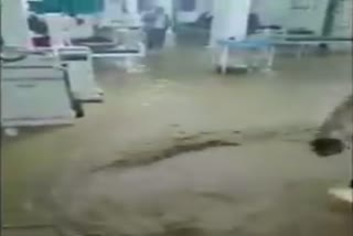 Rainwater entered the emergency ward