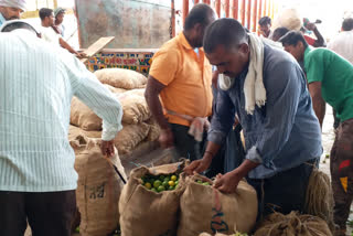 Rapid fall in Lemon prices